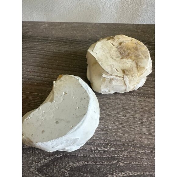 Vintage Dental Teeth Mold Cast – Upper & Lower Set - Picture 8 of 11